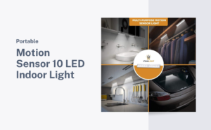 Read more about the article Motion Sensor 10 LED Indoor Light